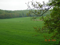 kliknij