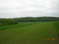 kliknij