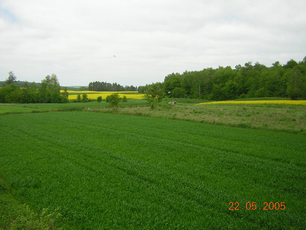 kliknij
