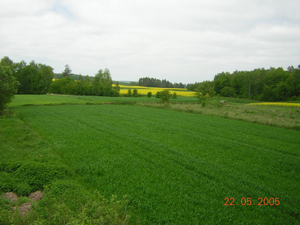 kliknij