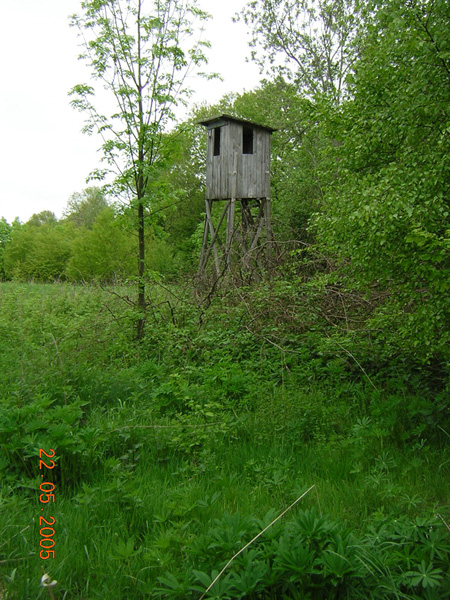kliknij
