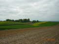 kliknij