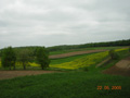 kliknij