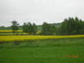 kliknij