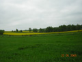 kliknij