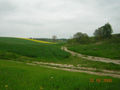 kliknij