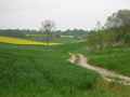 kliknij