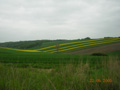 kliknij