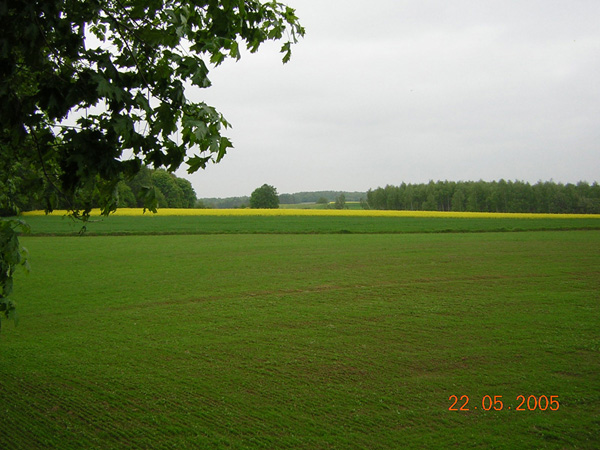 kliknij