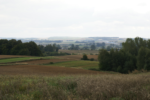 kliknij