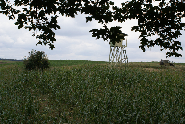 kliknij