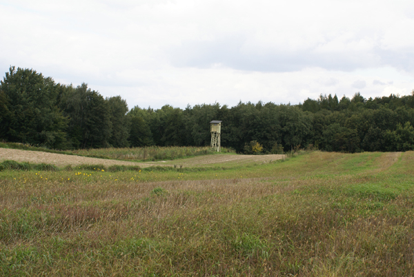 kliknij