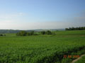 kliknij