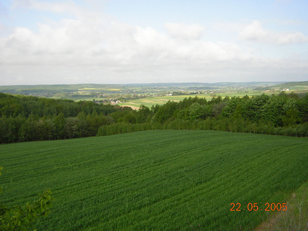 kliknij
