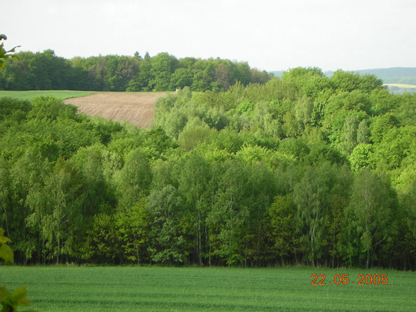 kliknij