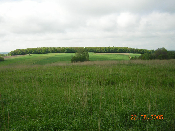 kliknij