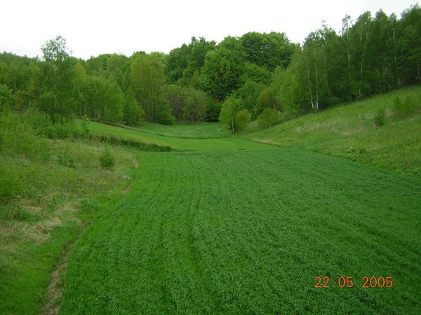 kliknij