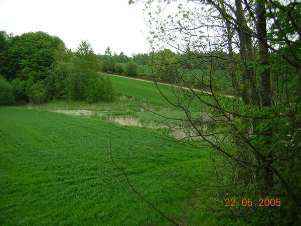 kliknij