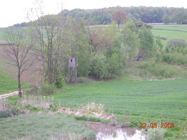 kliknij