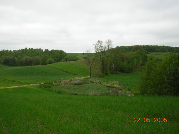 kliknij