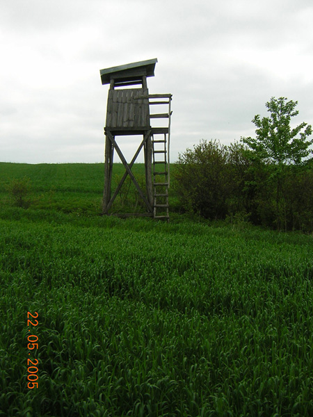 kliknij
