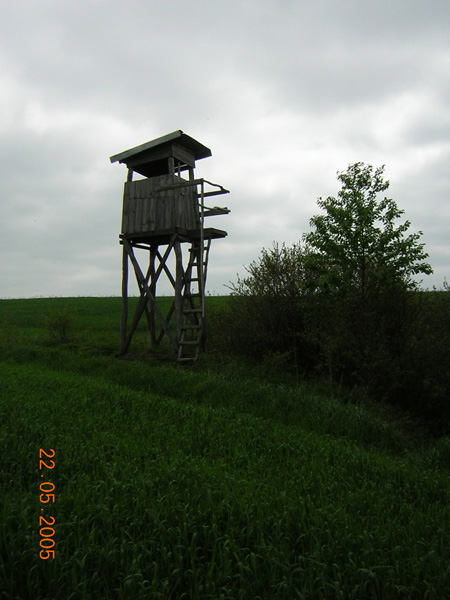kliknij