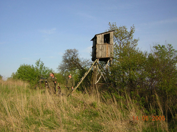 kliknij