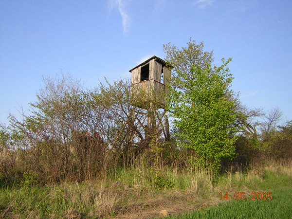 kliknij