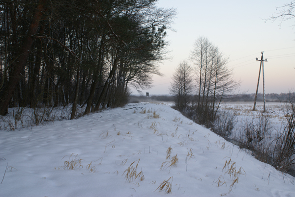 kliknij
