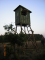kliknij