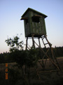 kliknij