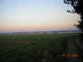 kliknij