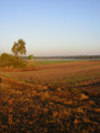 kliknij
