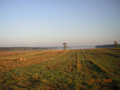 kliknij